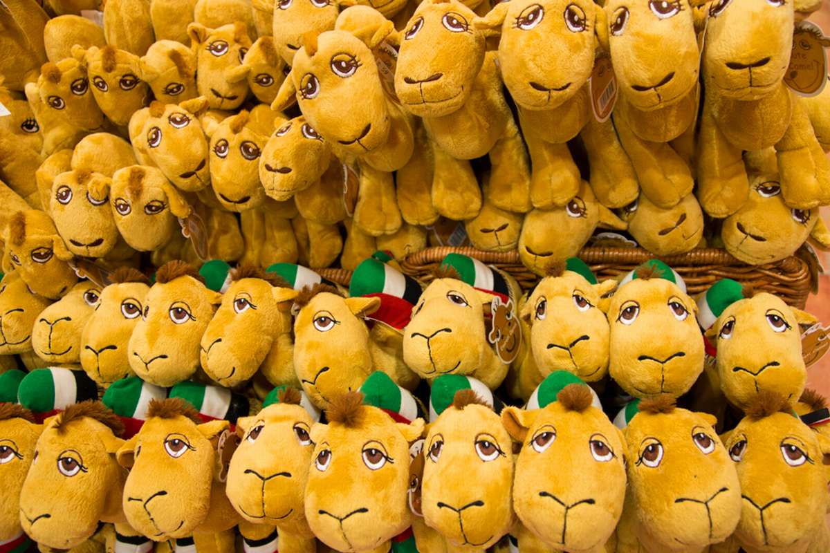 Camel Company